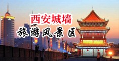 大鸡巴插我啊啊啊视频中国陕西-西安城墙旅游风景区