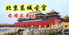 3D淫荡黑丝女动漫中国北京-东城古宫旅游风景区